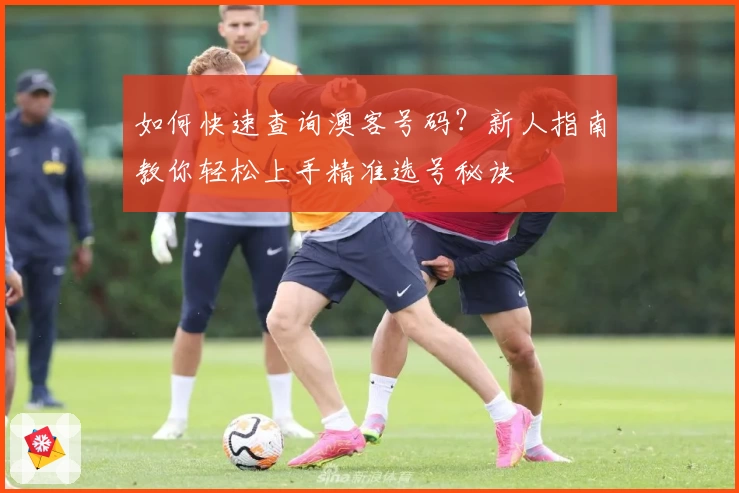 如何快速查询澳客号码？新人指南教你轻松上手精准选号秘诀