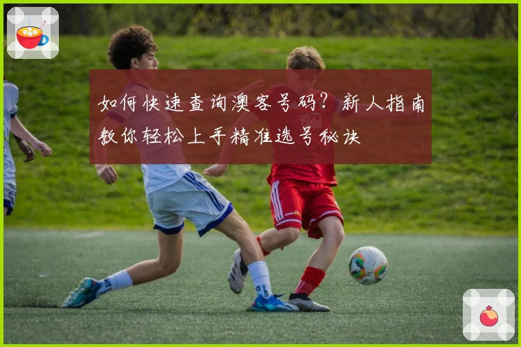 如何快速查询澳客号码？新人指南教你轻松上手精准选号秘诀